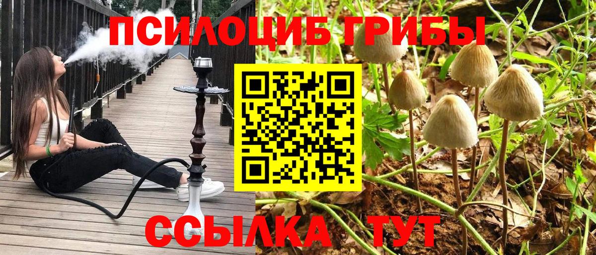 Галлюциногенные грибы Magic Shrooms  Вход с VPN  Галлюциногенные грибы Psilocybe  Ростов Великий 